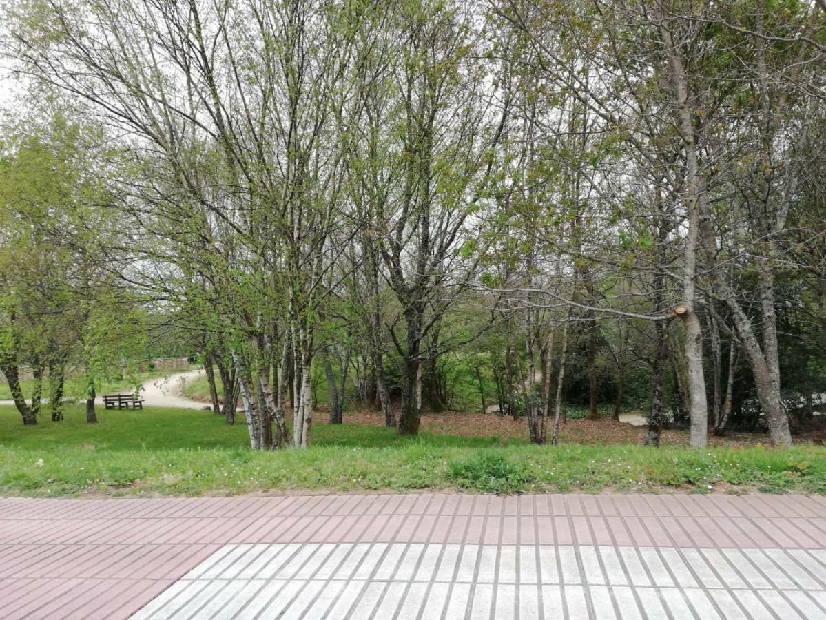 Apartment Sigueeiro Camino Ingles *